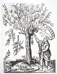 Emblème d