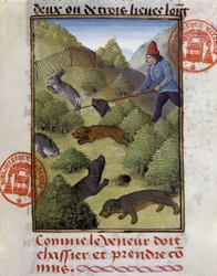 Chasse au lapin - dans « Livre de chasse de Gaston Phébus, comte de Foix, seigneur de Béarn »