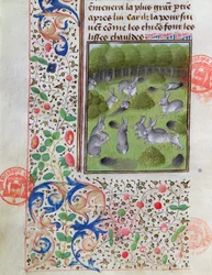 Garenne de lapins, du Livre de la Chasse par Gaston Phébus de Foix
