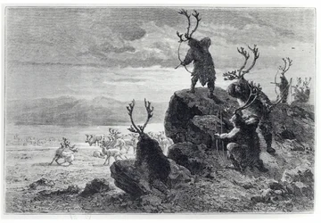 Chasse au renne à l