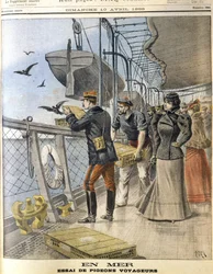Libération des pigeons voyageurs de l