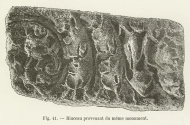 Rinceau provenant du même monument