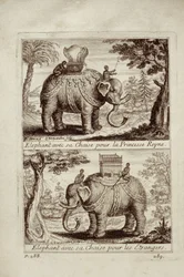Éléphants royaux, de Voyage du Siam des Pères Jésuites par Guy Tachard, 1688
