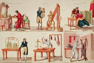 Six professions