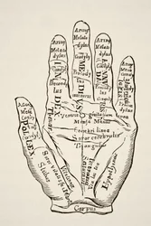 Spécimen de la main gauche avec les lignes et leurs dénominations horoscopiques, tiré de "La Science et la littérature au Moyen Âge" de Paul Lacroix, publié à Londres en 1878