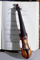 Instrument à cordes d