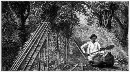 Syringuero fumant du latex formant du caoutchouc. Gravure de 1898