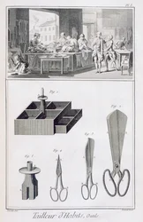 Tailleur, de l