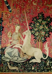 La Dame à la licorne : La Vue