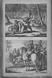 Les Maures récoltant des gommes et transportant les gommes au Sénégal, illustration tirée de « Un voyage au Sénégal... »