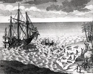 Le Pélican coulant près de la côte, de l