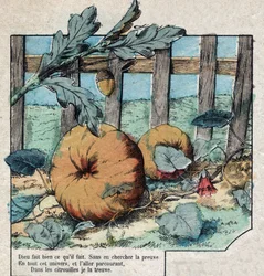 Le gland et la citrouille. Fables de Jean de La Fontaine (1621-95). Imagerie d