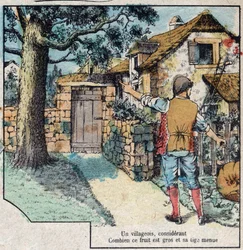 Le gland et la citrouille. Fables de Jean de La Fontaine (1621-95). Imagerie d