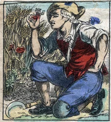 Le géant laboureur de Brobdingnag saisit Lemuel Gulliver. Illustration pour « Les Voyages de Gulliver » de Jonathan Swift (1667-1745). Imagerie d