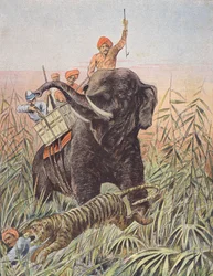 Chasse au tigre, Inde (lithographie couleur)