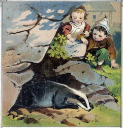 Deux enfants observent un blaireau dans son terrier