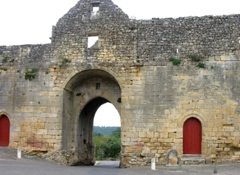 Vue d