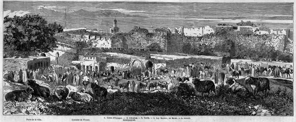 Vue de la ville de Tanger (Maroc), le jour de la marche arabe. Gravure dans "Le Monde Illustré" n°129 du 1er octobre 1859.