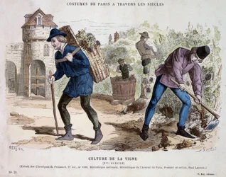 Culture de la vigne au 15e siècle - dans Costume de Paris à travers les siècles