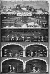 Viticulture : vue des caves de champagne dans les sous-sols de l