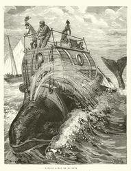 Voyage a Dos de Baleine (engraving)