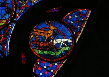 La Création des animaux