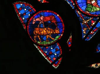 La Création des animaux
