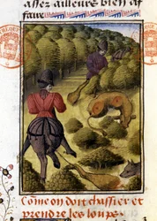 Chasse au loup - dans « Livre de chasse de Gaston Phébus, comte de Foix, seigneur de Béarn »