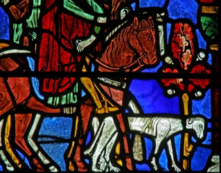 Cheval et chien (w15)