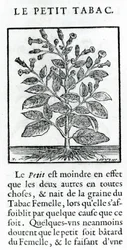 Le Petit Tabac, illustration de Discours du Tabac par Jean Le Royer de Prade, 1671