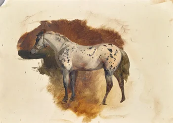 Cheval tacheté