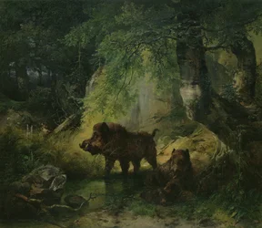 Sanglier et loup