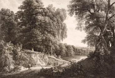 Paysage forestier