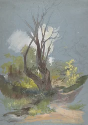 Sentier de montagne avec un arbre