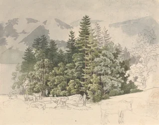 Paysage alpin