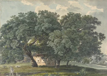 Paysage italien avec arbres