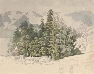Paysage alpin (gouache sur graphite)