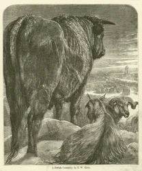 Un cimetière juif (gravure)