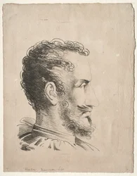 Profil de tête