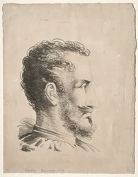 Tête de profil