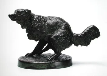 Chien de chasse à poil long