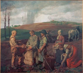 Récolte de pommes de terre