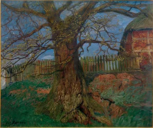 Le chêne