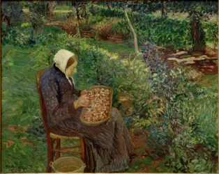 Femme épluchant dans le jardin
