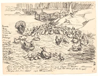 Les autres canards