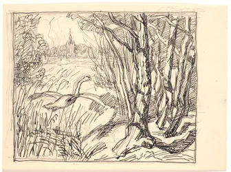 Paysage avec cygne décollant