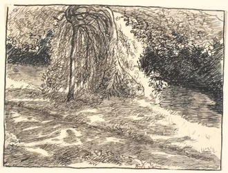 Étude pour le saule pleureur dans : Là tu as tes yeux, dit la Mort...
