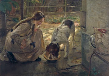 Nourrir les chiens