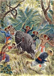Chasse au rhinocéros, Indochine française (illustration)