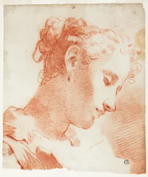 Tête de femme